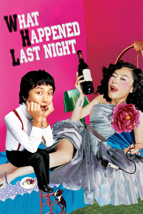 What Happened Last Night (2008) poster