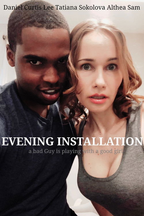 Evening Installation (2019) poster