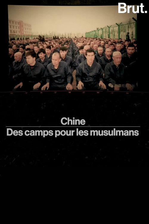 chine——des camps pour les musulmans (2019) poster