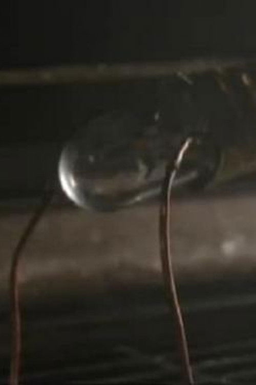 The Origins of Electricity (2006) poster