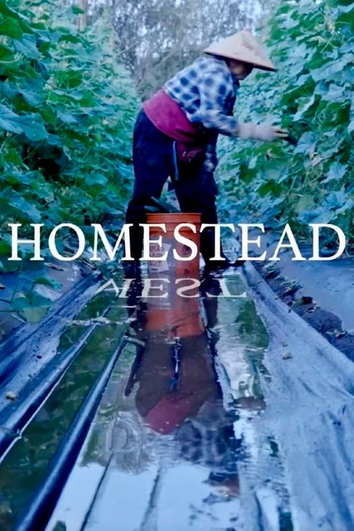 Homestead (2024) poster