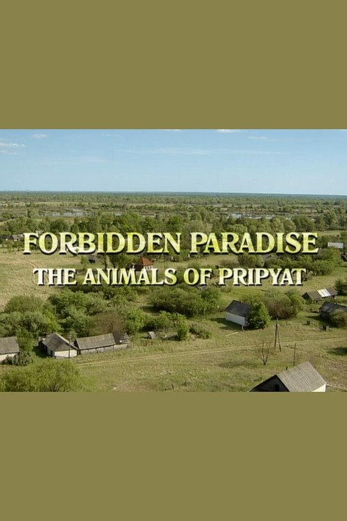 Chernobyl (2005) poster