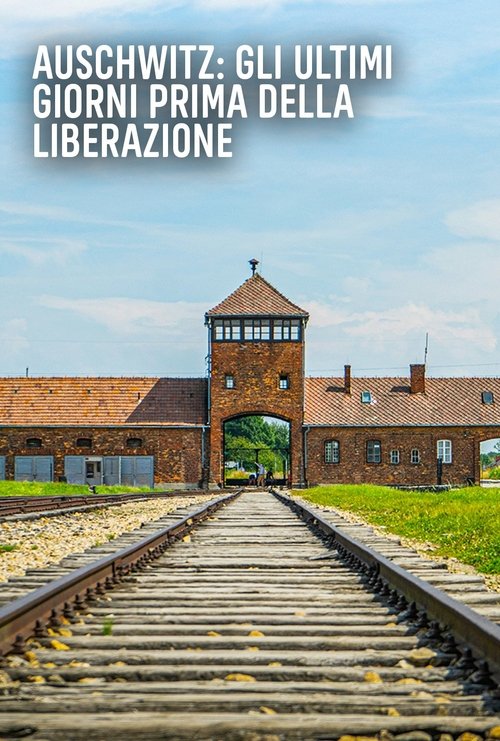 Auschwitz: Countdown to Liberation (2025) poster