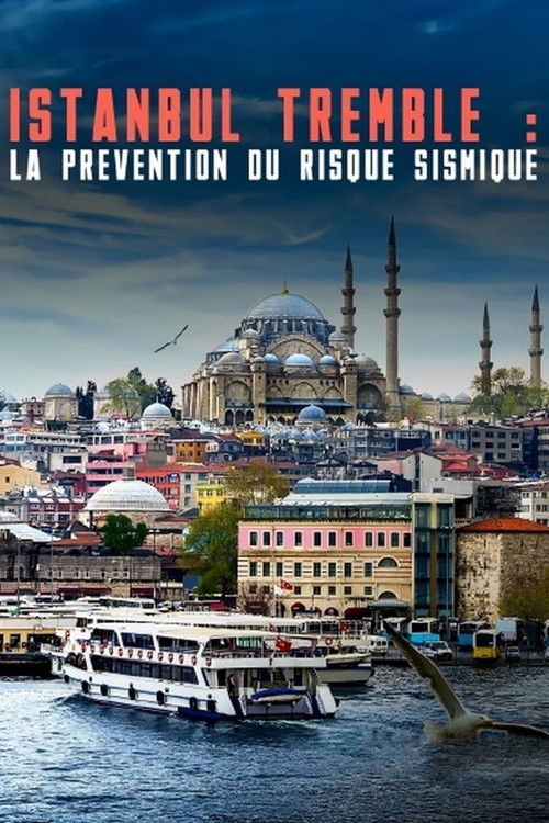 Istanbul tremble : La prévention du risque sismique (2020) poster