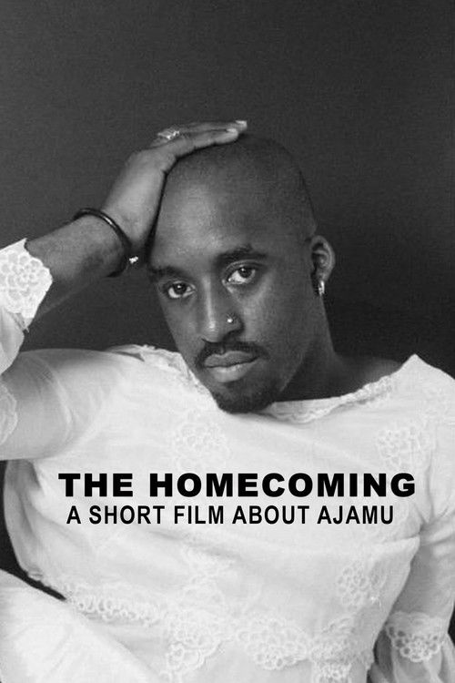 The Homecoming: A Short Film About Ajamu (1996) poster