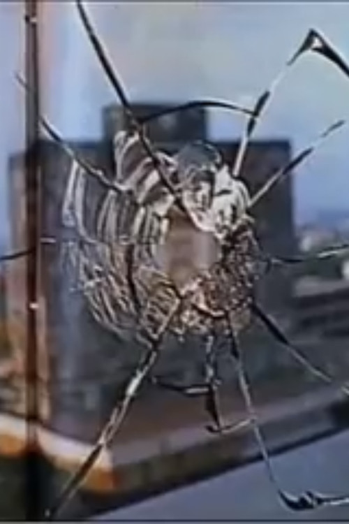 Let It Be (1970-1974) (1993) poster