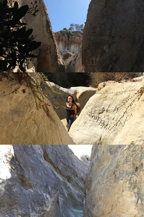 Pageant (2020) poster