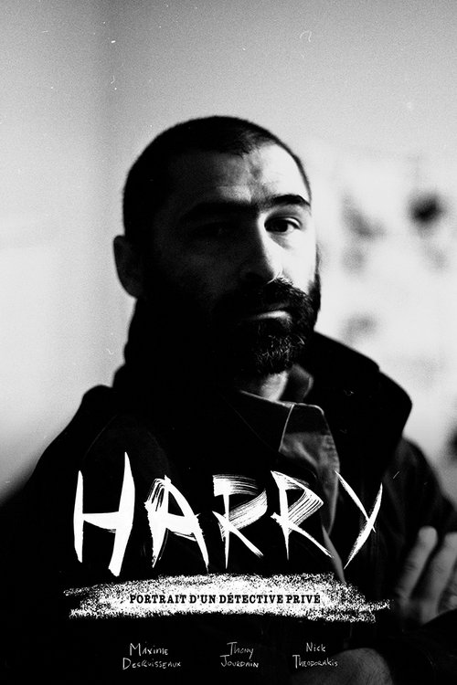 Harry : Portrait d’un détective privé (2016) poster