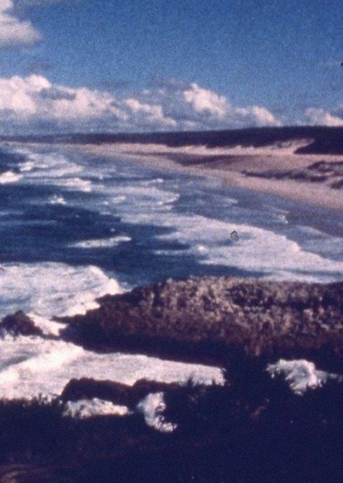 Ocean at Point Lookout (1977) poster