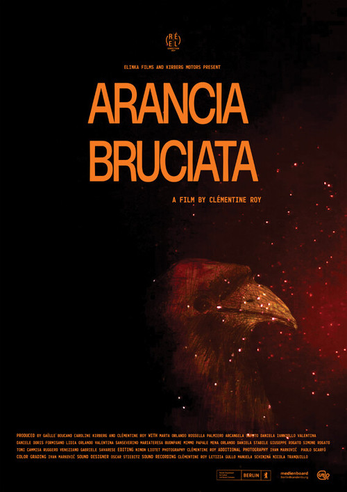 Arancia Bruciata (2024) poster