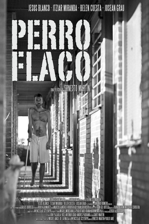 Perro flaco (2011) poster
