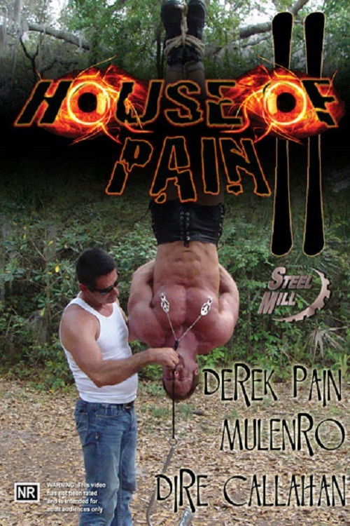 House of Pain 2 (2013) poster