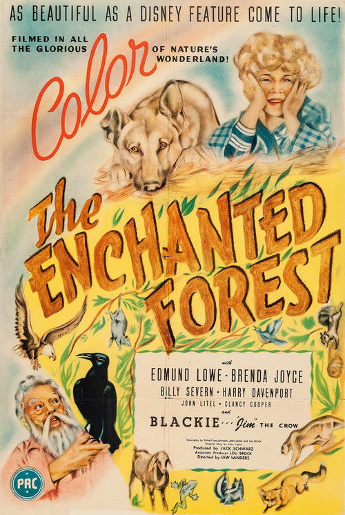The Enchanted Forest (1945) poster