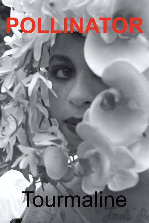 Pollinator (2023) poster