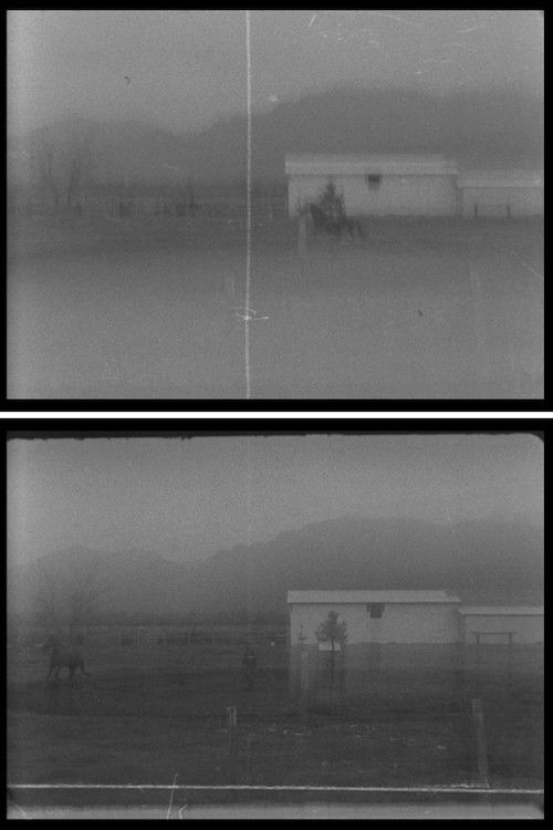 La Troya. Un caballo en movimiento (2014) poster