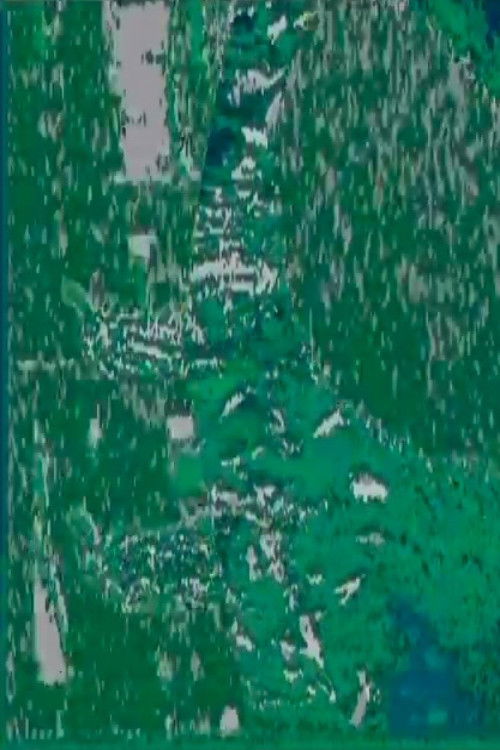 L'adoration de la terre (1990) poster