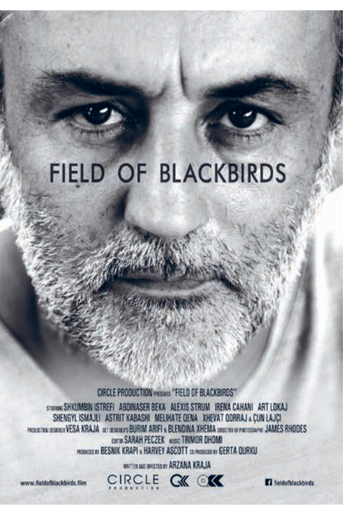 Field of Blackbirds (2019) poster