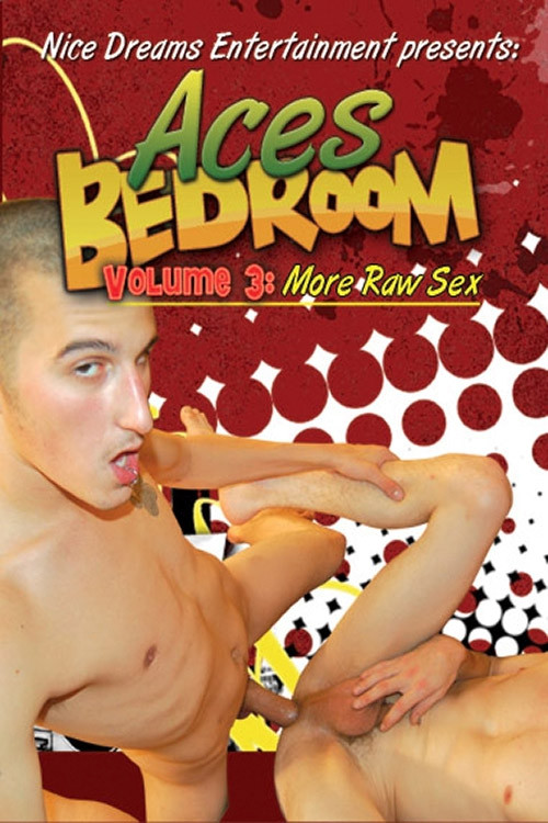 Ace's Bedroom (Volume 3: More Raw Sex) (2008) poster
