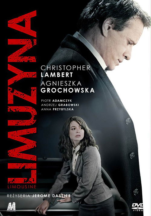 Limousine (2008) poster