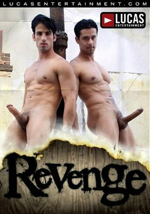Revenge (2009) poster