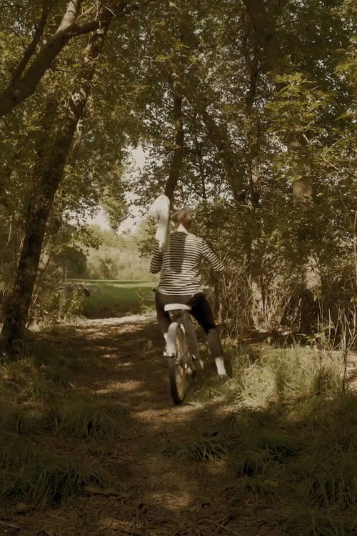 Walking Backwards (2020) poster