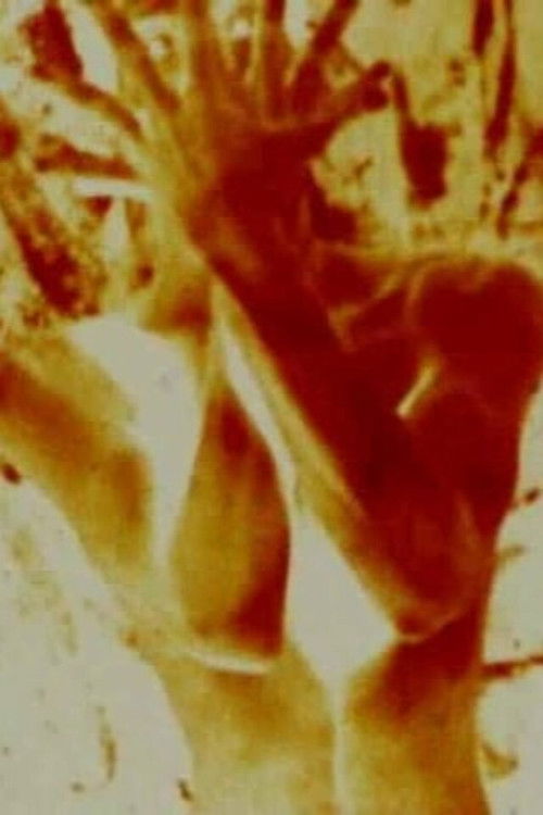 The Red Thread (1993) poster