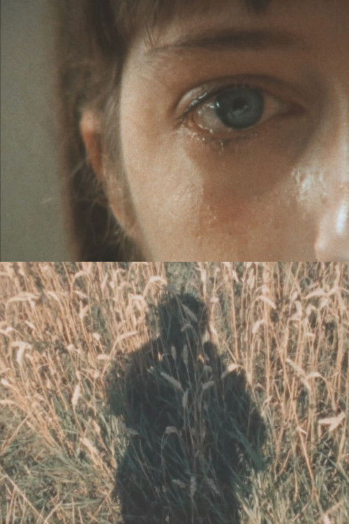 Early Morning Song (2023) poster