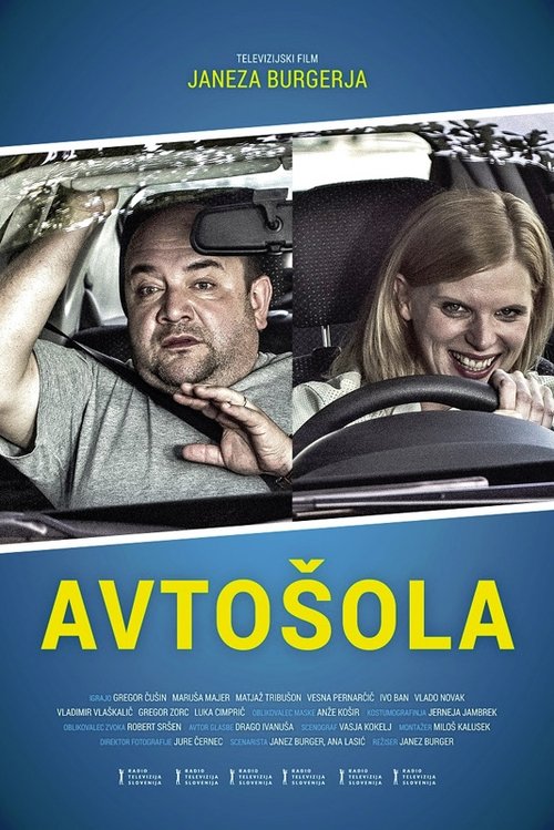 Driving School (2014) poster