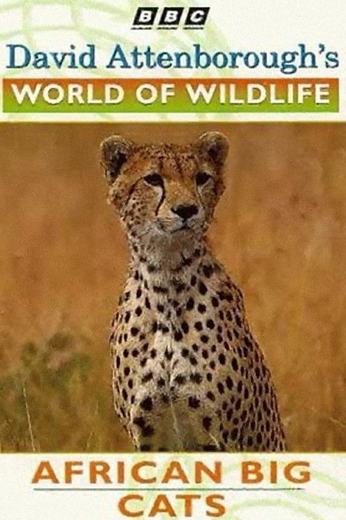 World of Wildlife: African Big Cats (1995) poster