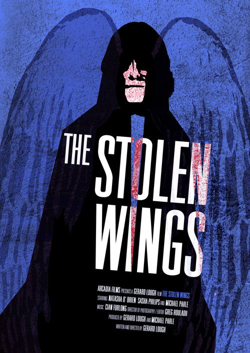 The Stolen Wings (2009) poster