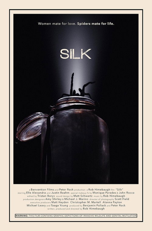 Silk (2014) poster