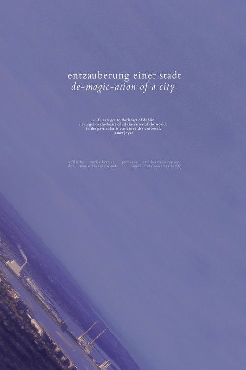 de-magic-ation of a city (2024) poster