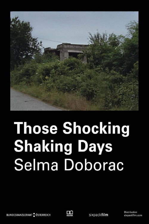Those Shocking Shaking Days (2016) poster