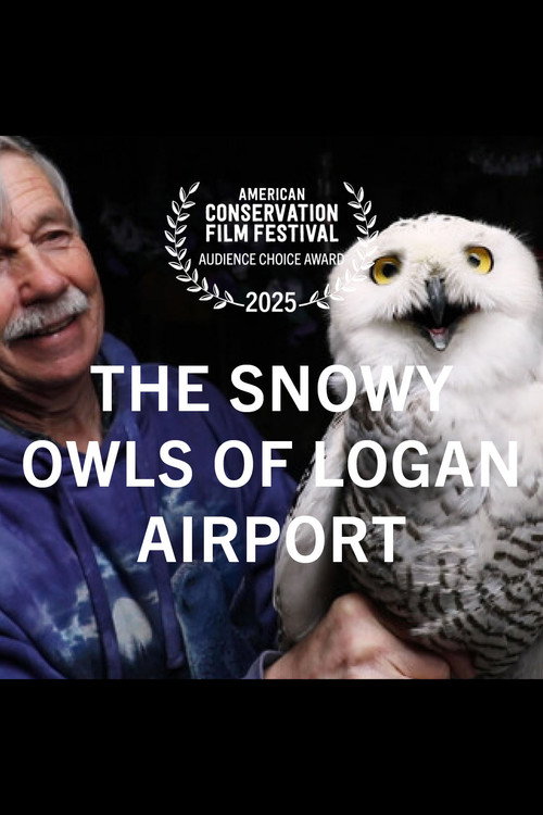 The Snowy Owls of Logan Airport (2024) poster
