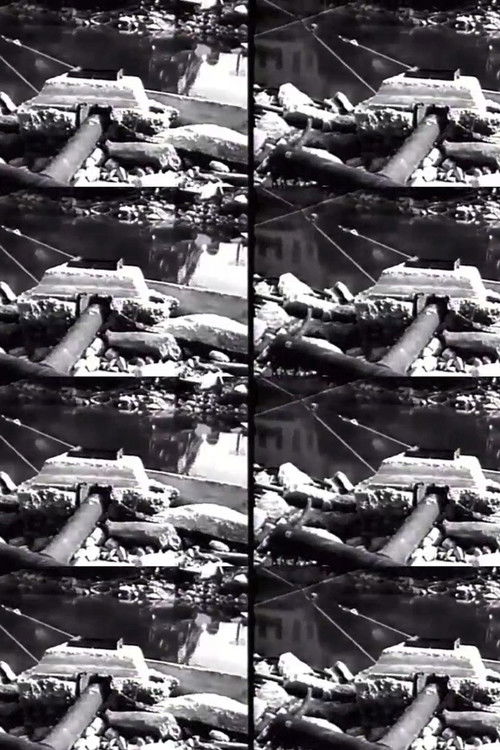 20th Century Wallpaper (2019) poster