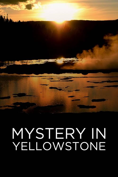 Mystery in Yellowstone (2015) poster