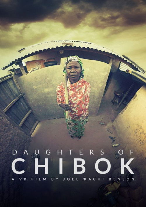 Daughters of Chibok (2019) poster