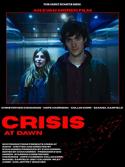 Crisis At Dawn (2025) poster
