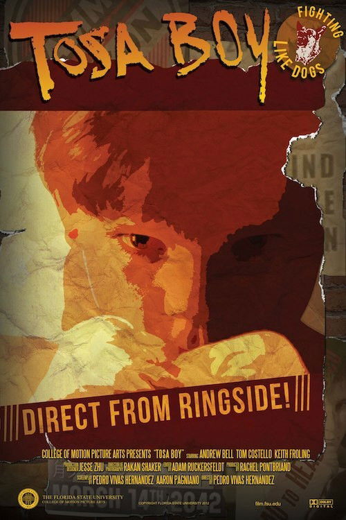 Tosa Boy (2012) poster