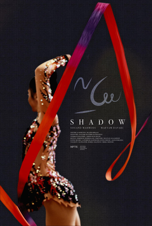 Shadow (2024) poster