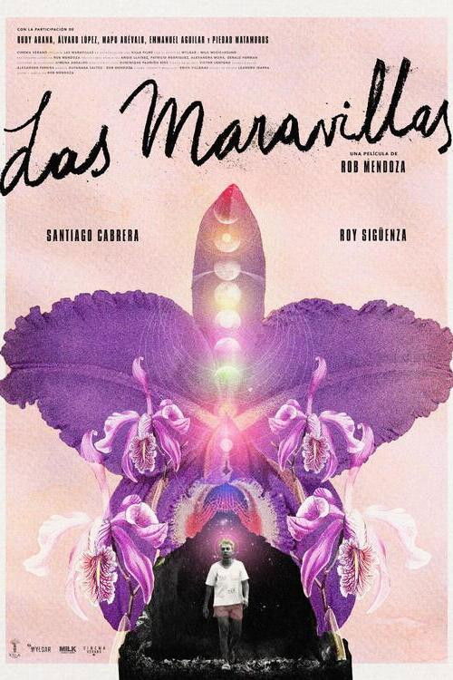 Back to Las Maravillas (2023) poster