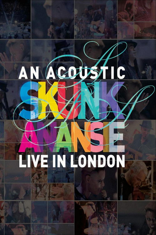 Skunk Anansie - An Acoustic Skunk Anansie Live In London (2013) poster