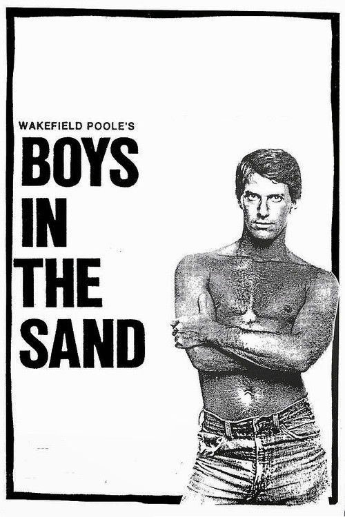 Boys in the Sand (1972) poster