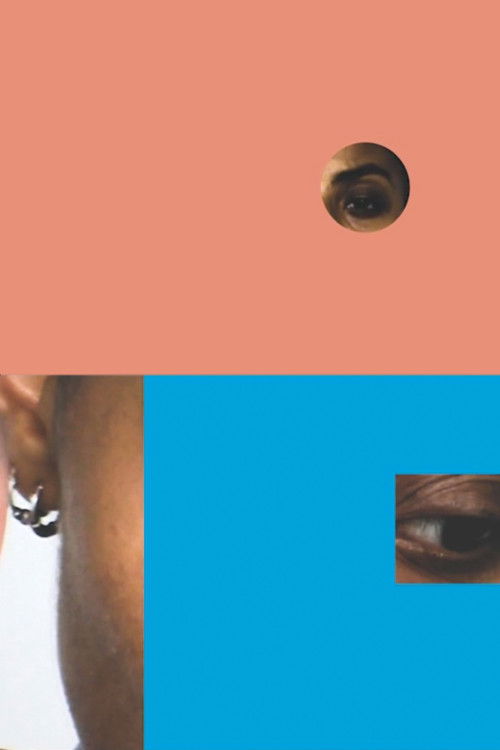 1/4 Visuals (2016) poster