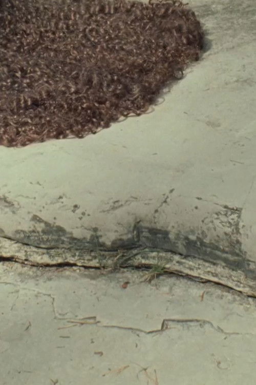 Venus Delta (2016) poster