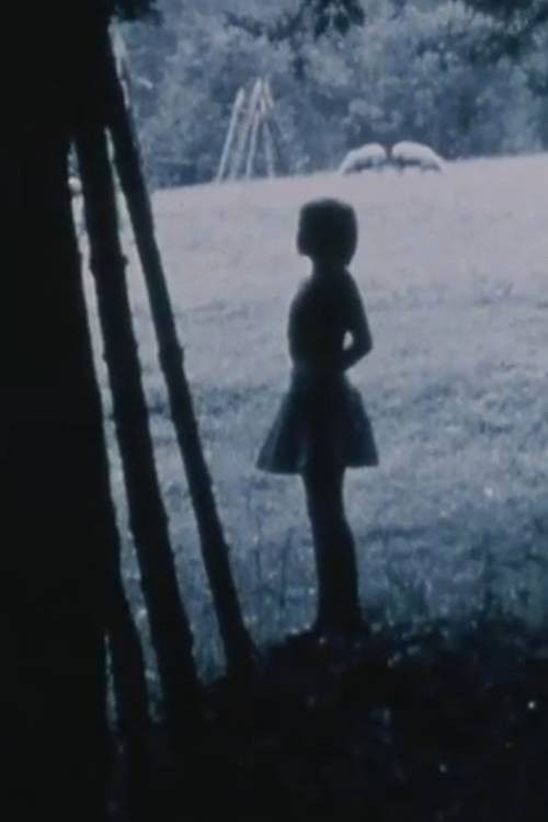 Passing Through/Torn Formations (1988) poster