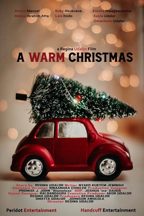 A Warm Christmas (2023) poster