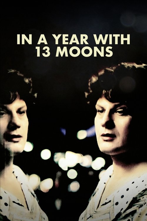 In a Year with 13 Moons (1978) poster