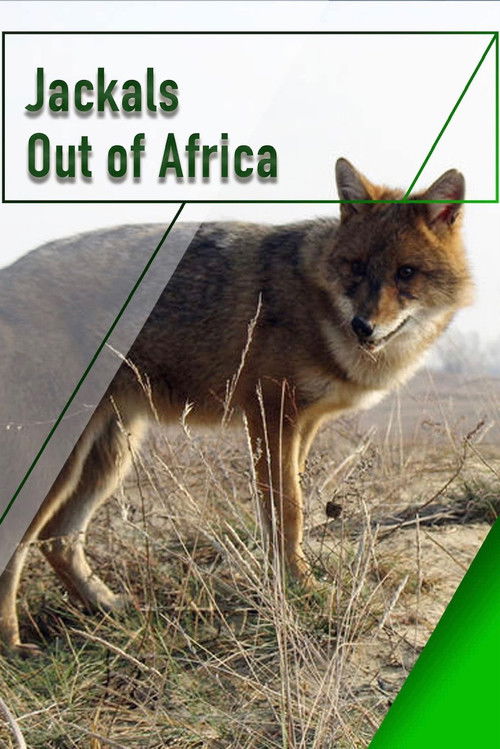 Jackals - Out of Africa (2007) poster