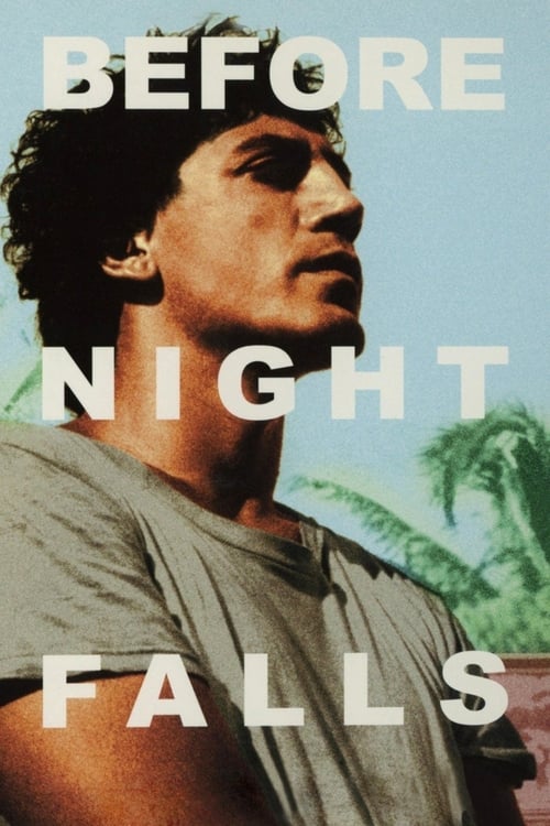 Before Night Falls (2000) poster